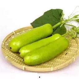 吃蒲瓜会中毒吗视频,专家揭秘真相