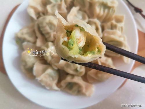 小瓜包饺子吃怎么做视频,轻松学会美味饺子制作